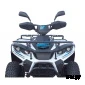 Электроквадроцикл SIMARGL ELEKTRO Linhai LH40DA