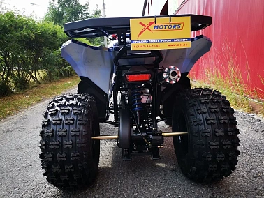 Квадроцикл MOTOLAND (МОТОЛЕНД) 125 COYOTE PRO