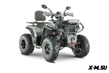 Квадроцикл YACOTA VIKING PRO 250