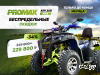 Квадроцикл PROMAX ATV 250 MAX (2025)