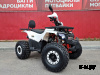 Квадроцикл PROMAX WILD 2.0 190 LUX