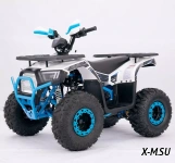 Квадроцикл  YACOTA SIRIUS 110			 			